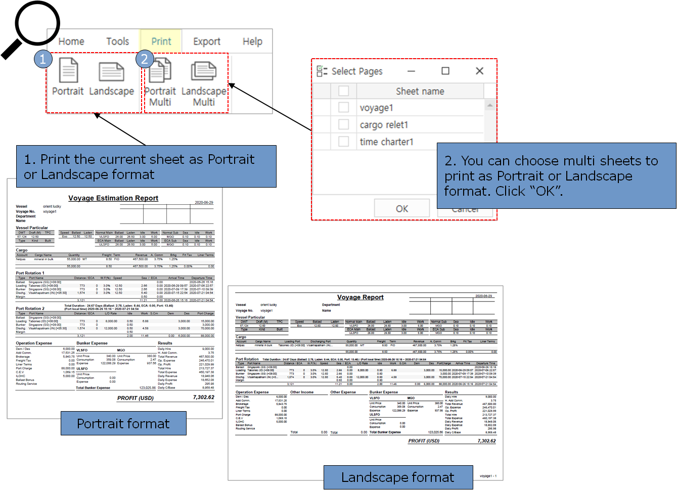 Netpas Estimator Quick Help Image
